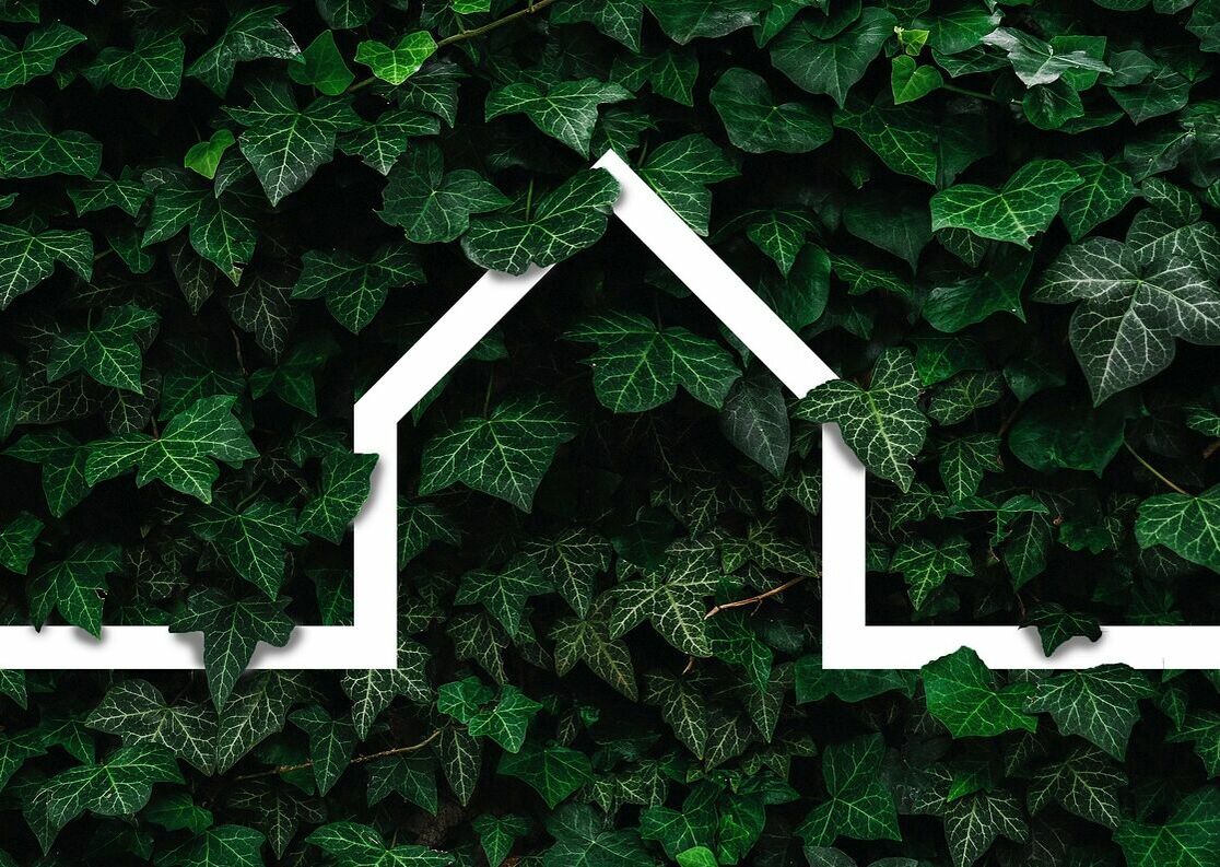 Grüner Pflanzenhintergrund mit weißen Umrissen eins Hauses, Umweltfreundlich, Nachhaltig